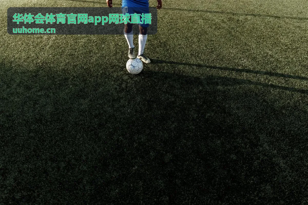 华体会体育官网app网球直播数据面板订阅封面
